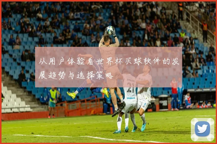从用户体验看世界杯买球软件的发展趋势与选择策略