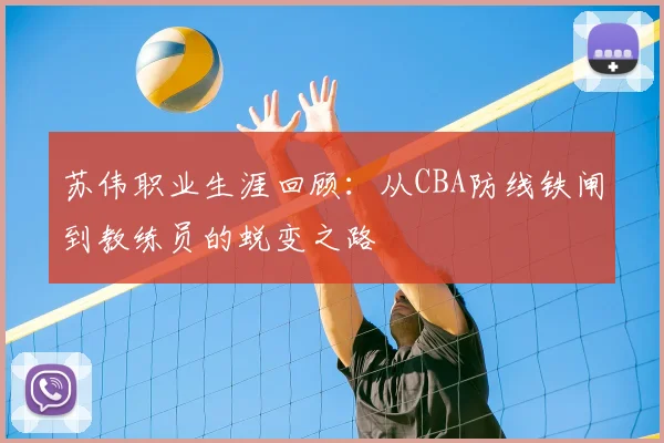 苏伟职业生涯回顾：从CBA防线铁闸到教练员的蜕变之路