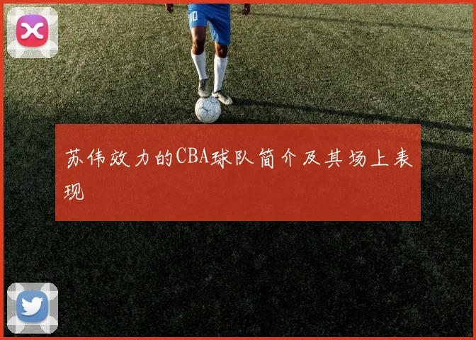 苏伟效力的CBA球队简介及其场上表现