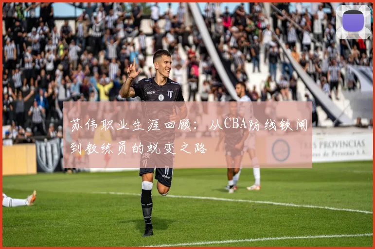 苏伟职业生涯回顾：从CBA防线铁闸到教练员的蜕变之路