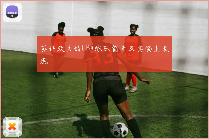 苏伟效力的CBA球队简介及其场上表现