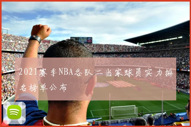 2021赛季NBA各队二当家球员实力排名榜单公布
