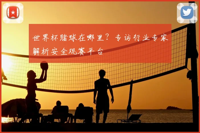 世界杯赌球在哪里？专访行业专家解析安全观赛平台