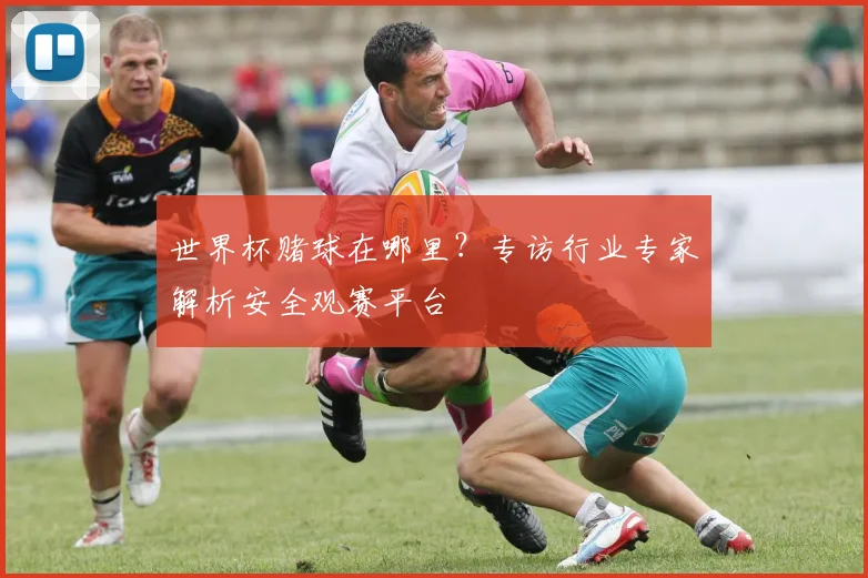 世界杯赌球在哪里？专访行业专家解析安全观赛平台
