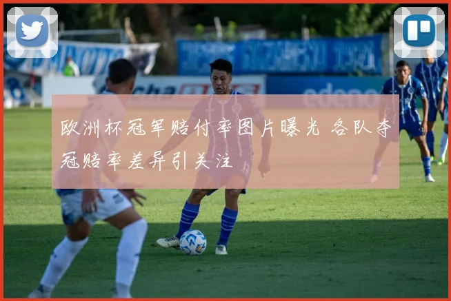 欧洲杯冠军赔付率图片曝光 各队夺冠赔率差异引关注