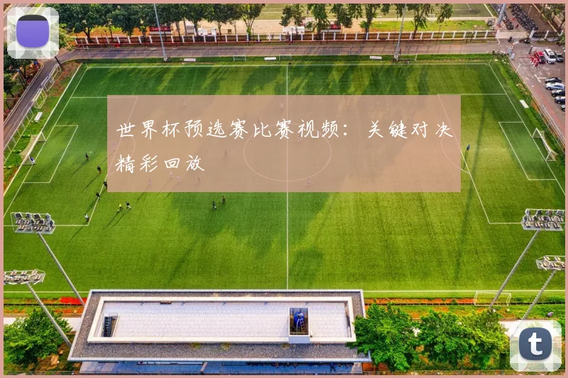 世界杯预选赛比赛视频:关键对决精彩回放