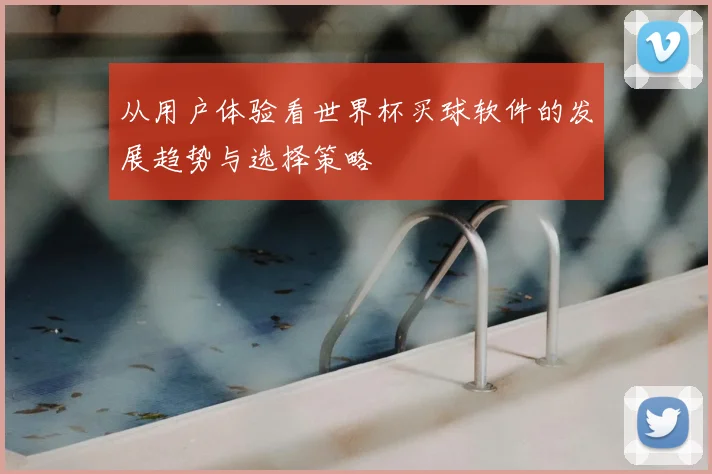 从用户体验看世界杯买球软件的发展趋势与选择策略