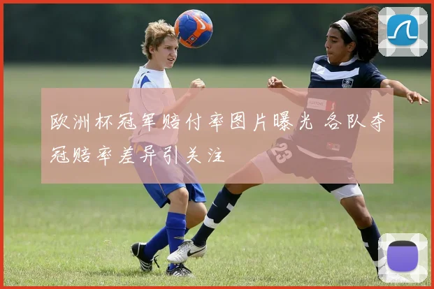欧洲杯冠军赔付率图片曝光 各队夺冠赔率差异引关注