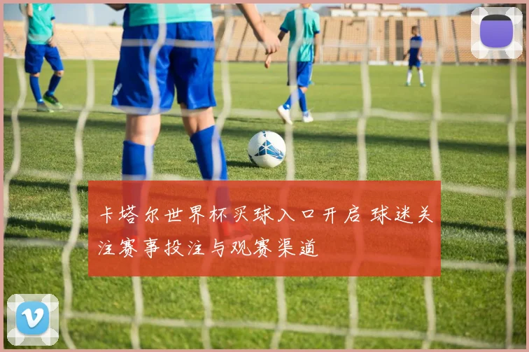 卡塔尔世界杯买球入口开启 球迷关注赛事投注与观赛渠道